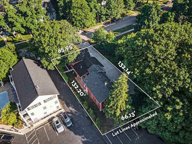 220 Park Ave, South Haven, MI 49090 - aerial overview of property's location with property boundaries highlighted