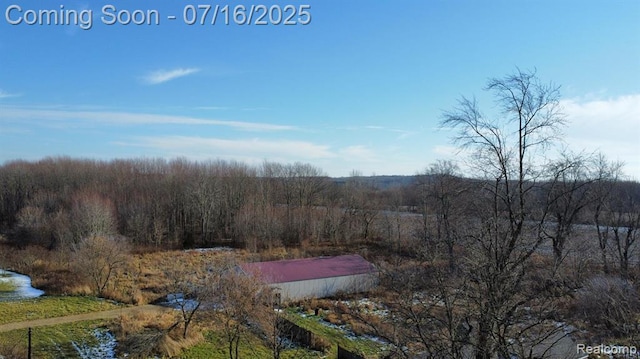 62769 Walnut St, Hartford, MI 49013 - photo 25