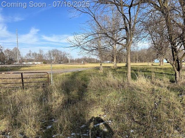 62769 Walnut St, Hartford, MI 49013 - photo 23