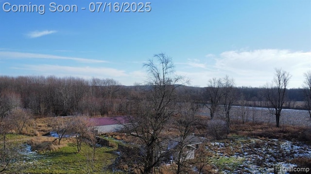 62769 Walnut St, Hartford, MI 49013 - photo 24