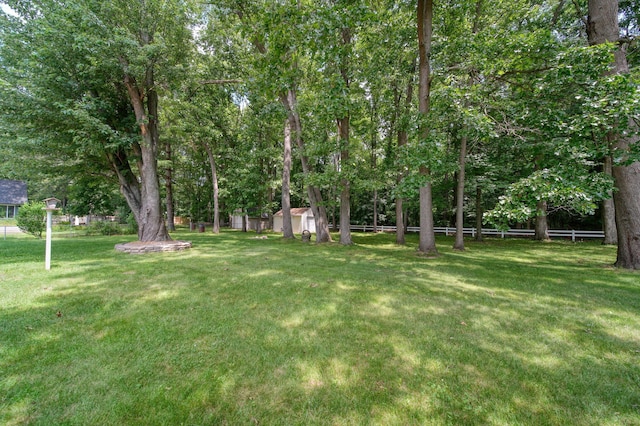 3469 Northlands Ave, Jackson, MI 49201 - photo 36