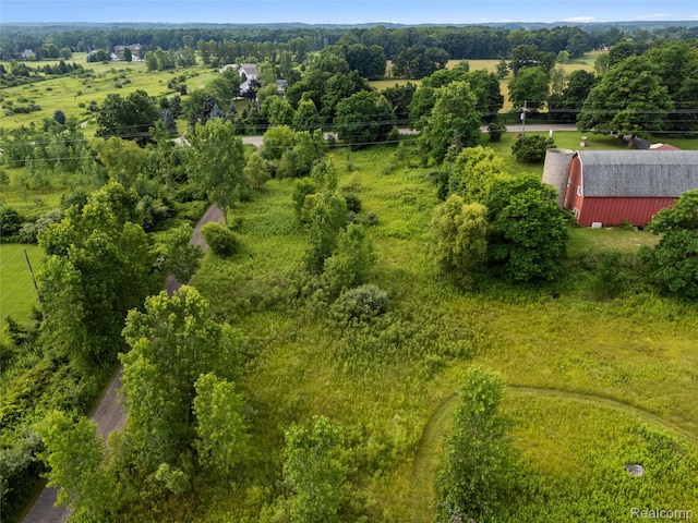 7741 Clyde Rd, Oceola, MI 48430 - photo 11