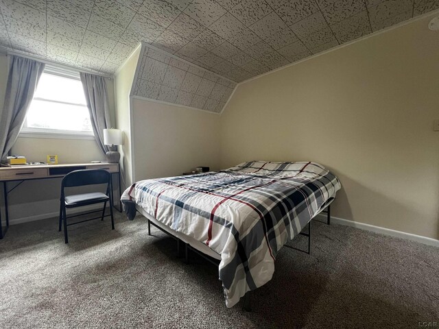2682 Elmwood Dr, Adrian, MI 49221 - carpeted bedroom featuring baseboards