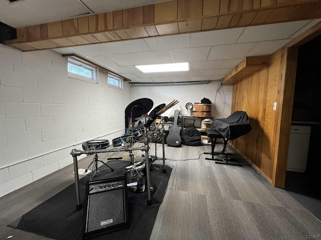 2682 Elmwood Dr, Adrian, MI 49221 - exercise area featuring concrete block wall and carpet