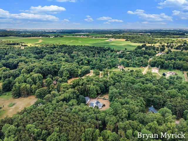 4675 44th St, Holland, MI 49423 - aerial view of a forest