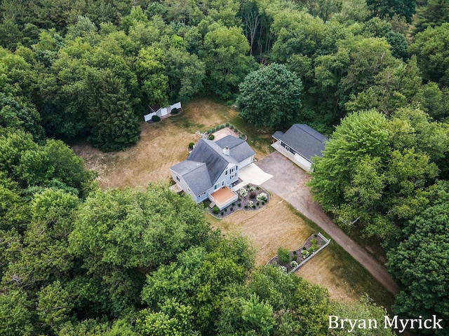 4675 44th St, Holland, MI 49423 - view of subject property with a heavily wooded area