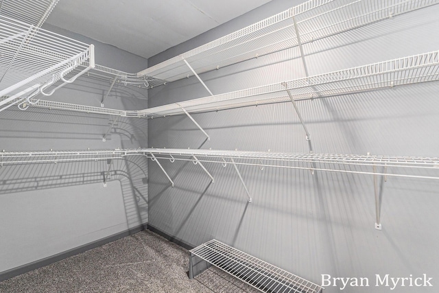 4675 44th St, Holland, MI 49423 - spacious closet with carpet flooring