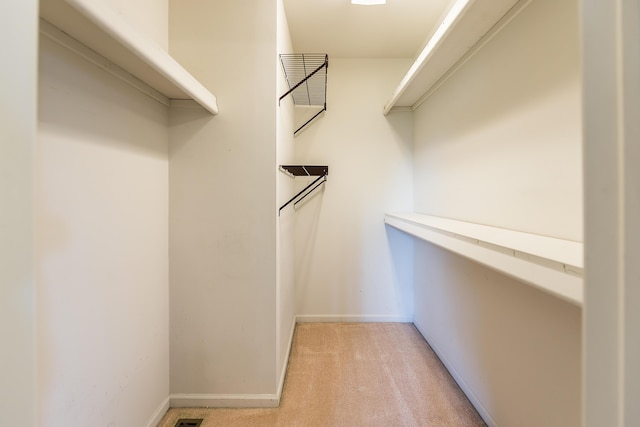 6602 Robindale Dr, Ypsilanti, MI 48197 - spacious closet with light carpet