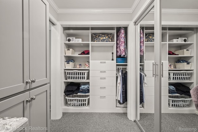 1109 Ivyglen Cir, Bloomfield Hills, MI 48304 - view of closet