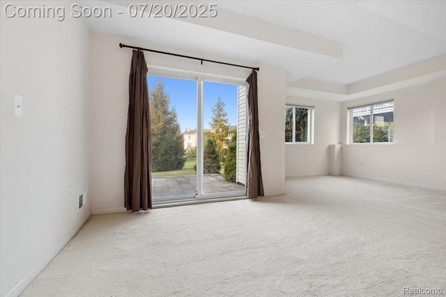 1145 York Ave, Howell, MI 48843 - spare room featuring carpet floors and baseboards