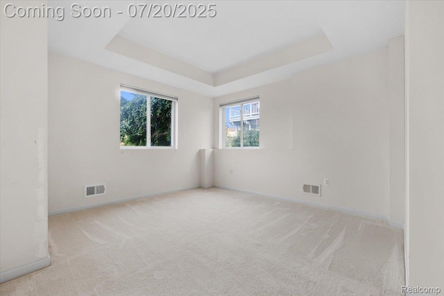 1145 York Ave, Howell, MI 48843 - carpeted empty room featuring baseboards and a raised ceiling