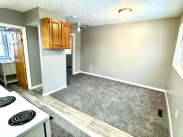 46 Grove St, Galesburg, MI 49053 - photo 6