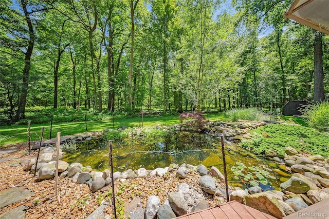 8931 Bridge Rd, Grosse Ile, MI 48138 - view of yard
