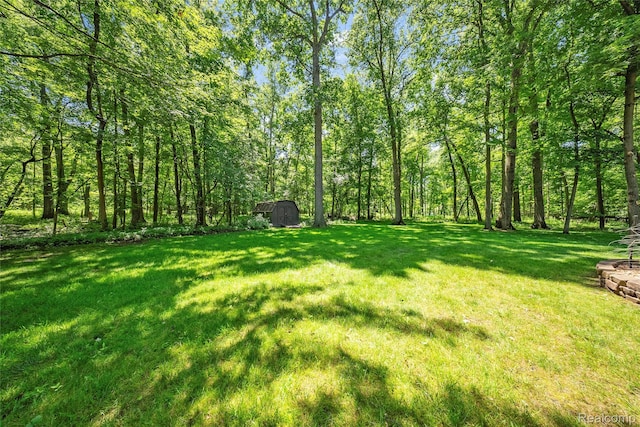 8931 Bridge Rd, Grosse Ile, MI 48138 - view of grassy yard featuring a shed