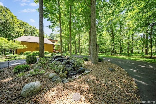 8931 Bridge Rd, Grosse Ile, MI 48138 - view of yard