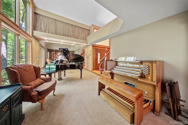 8931 Bridge Rd, Grosse Ile, MI 48138 - sitting room featuring carpet flooring and a high ceiling