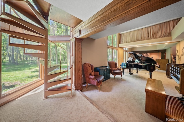 8931 Bridge Rd, Grosse Ile, MI 48138 - living area featuring carpet and plenty of natural light