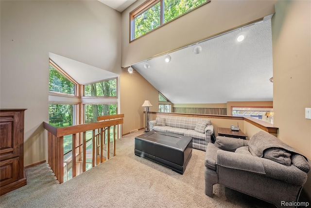 8931 Bridge Rd, Grosse Ile, MI 48138 - carpeted living room featuring baseboards and high vaulted ceiling
