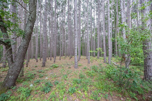 5710 18 Mile Rd, Barryton, MI 49305 - photo 49