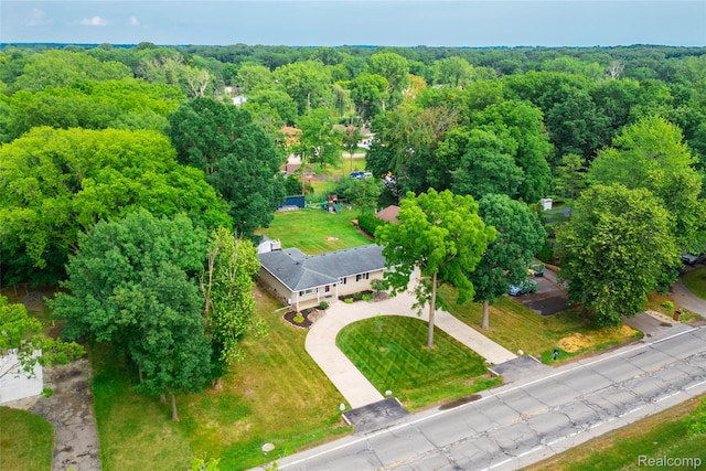 21819 Meridian Rd, Grosse Ile, MI 48138 - aerial view of a forest