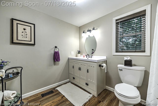 978 Oak Ridge Cir, Brighton, MI 48116 - bathroom featuring wood finished floors and vanity