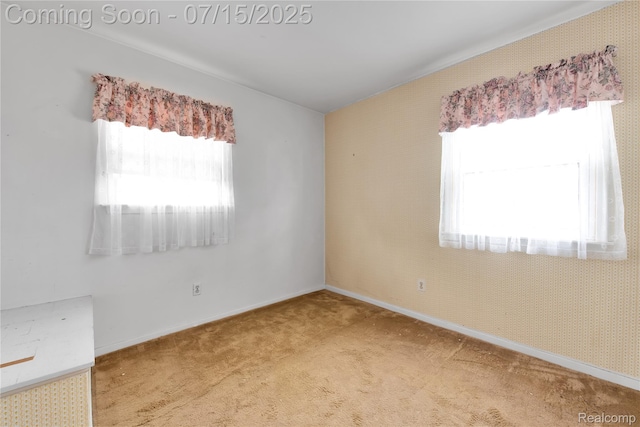 2330 Cambridge St, Trenton, MI 48183 - photo 22
