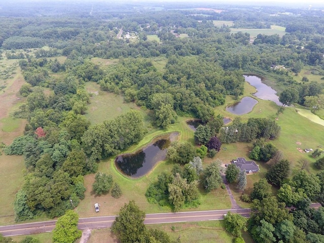 3900 W Bacon Rd, Hillsdale, MI 49242 - photo 40