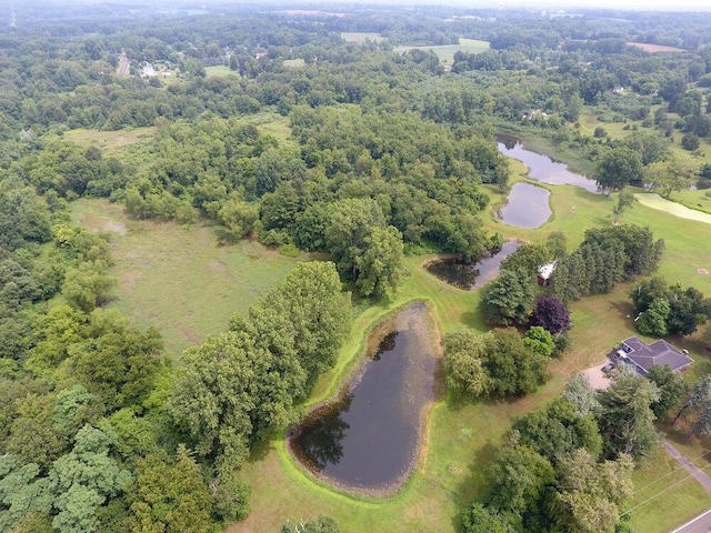 3900 W Bacon Rd, Hillsdale, MI 49242 - photo 43