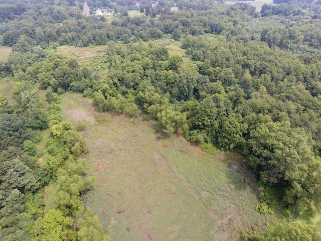 3900 W Bacon Rd, Hillsdale, MI 49242 - photo 49