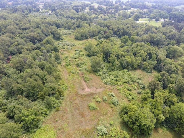 3900 W Bacon Rd, Hillsdale, MI 49242 - photo 41