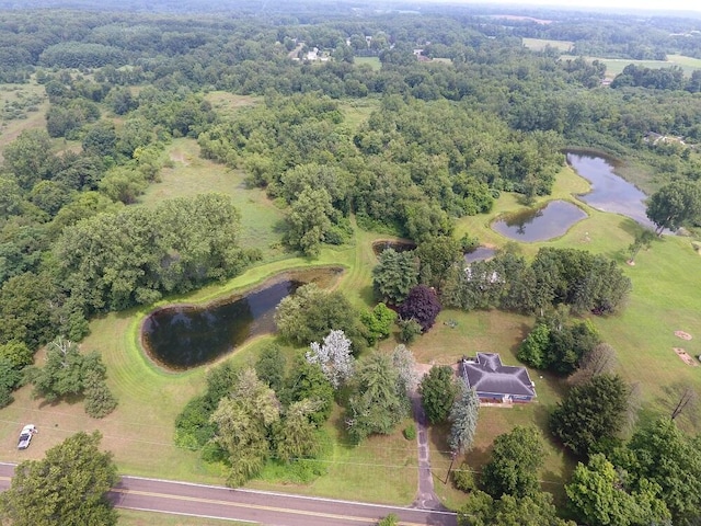 3900 W Bacon Rd, Hillsdale, MI 49242 - photo 38