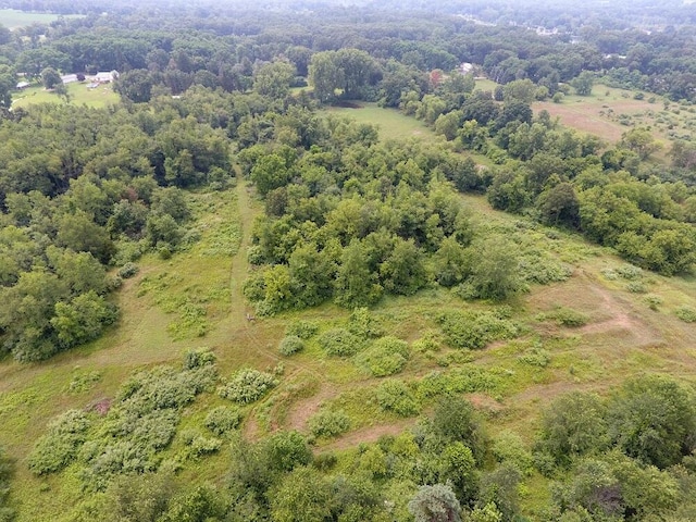 3900 W Bacon Rd, Hillsdale, MI 49242 - photo 45