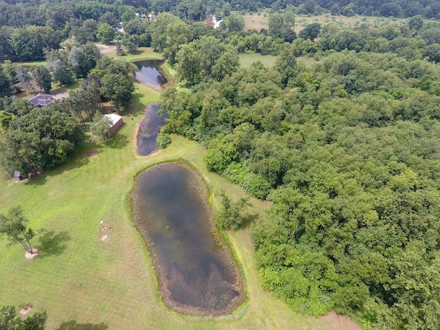 3900 W Bacon Rd, Hillsdale, MI 49242 - photo 47