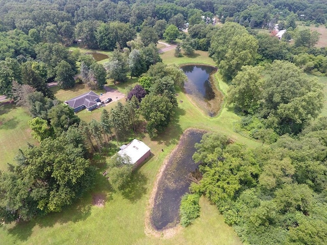 3900 W Bacon Rd, Hillsdale, MI 49242 - photo 48