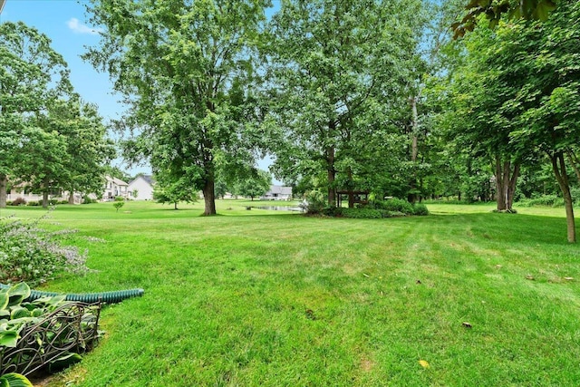 1075 Crystal Wood Dr, Davison, MI 48423 - photo 52