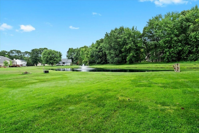 1075 Crystal Wood Dr, Davison, MI 48423 - photo 54