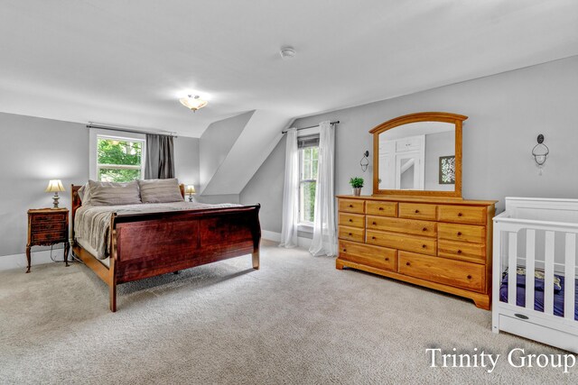 103 E Elm St, Fremont, MI 49412 - photo 33
