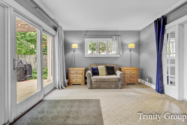 103 E Elm St, Fremont, MI 49412 - photo 24