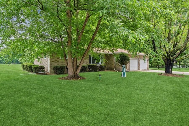 13613 Log Cabin Rd, Three Oaks, MI 49128 - view of property hidden behind natural elements with an attached garage, a front lawn, and driveway