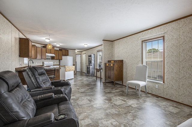 13750 Primrose Ln, Cedar Springs, MI 49319 - living room featuring plenty of natural light, ornamental molding, stone finish flooring, and a textured ceiling
