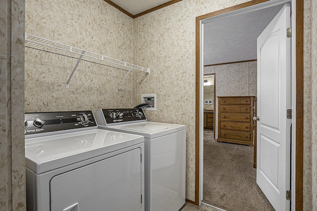 13750 Primrose Ln, Cedar Springs, MI 49319 - laundry room featuring ornamental molding, separate washer and dryer, carpet, and a textured ceiling