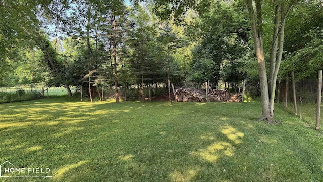510 Martin St, Owosso, MI 48867 - view of green lawn