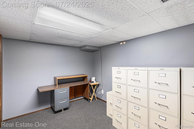 4336 Reilly Dr, Troy, MI 48085 - photo 22