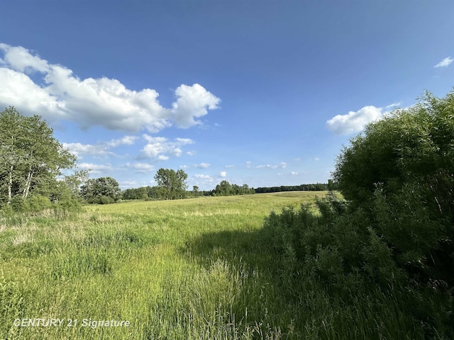 60 Estey Rd, Beaverton, MI 48612 - photo 5