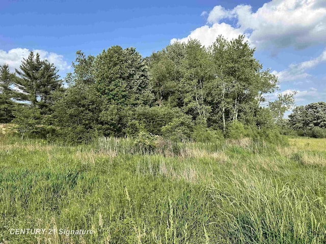 60 Estey Rd, Beaverton, MI 48612 - photo 11