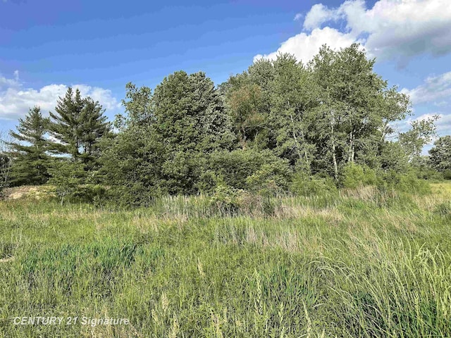 60 Estey Rd, Beaverton, MI 48612 - photo 14