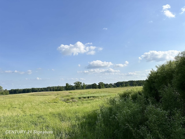 60 Estey Rd, Beaverton, MI 48612 - photo 8