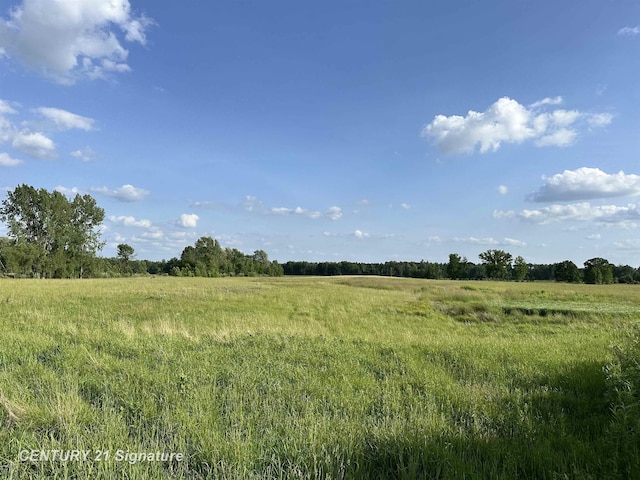60 Estey Rd, Beaverton, MI 48612 - photo 9