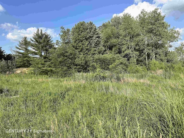 60 Estey Rd, Beaverton, MI 48612 - photo 12