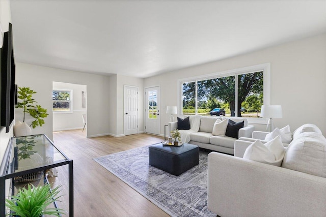 10965 Bunton Rd, Willis, MI 48191 - living area with light wood-type flooring and baseboards